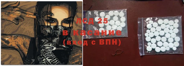 ПСИЛОЦИБИНОВЫЕ ГРИБЫ Горно-Алтайск