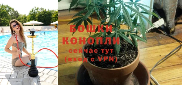 прущая мука Вязьма
