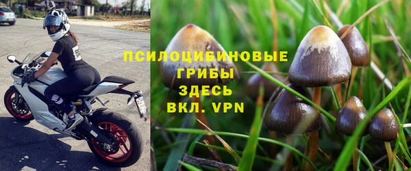 прущая мука Вязьма