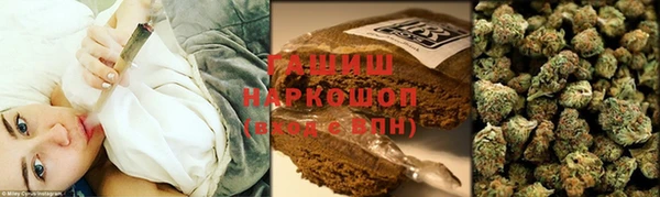 МДПВ Туринск