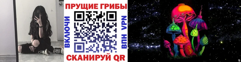 Псилоцибиновые грибы мицелий  блэк спрут сайт  Ишим  купить  